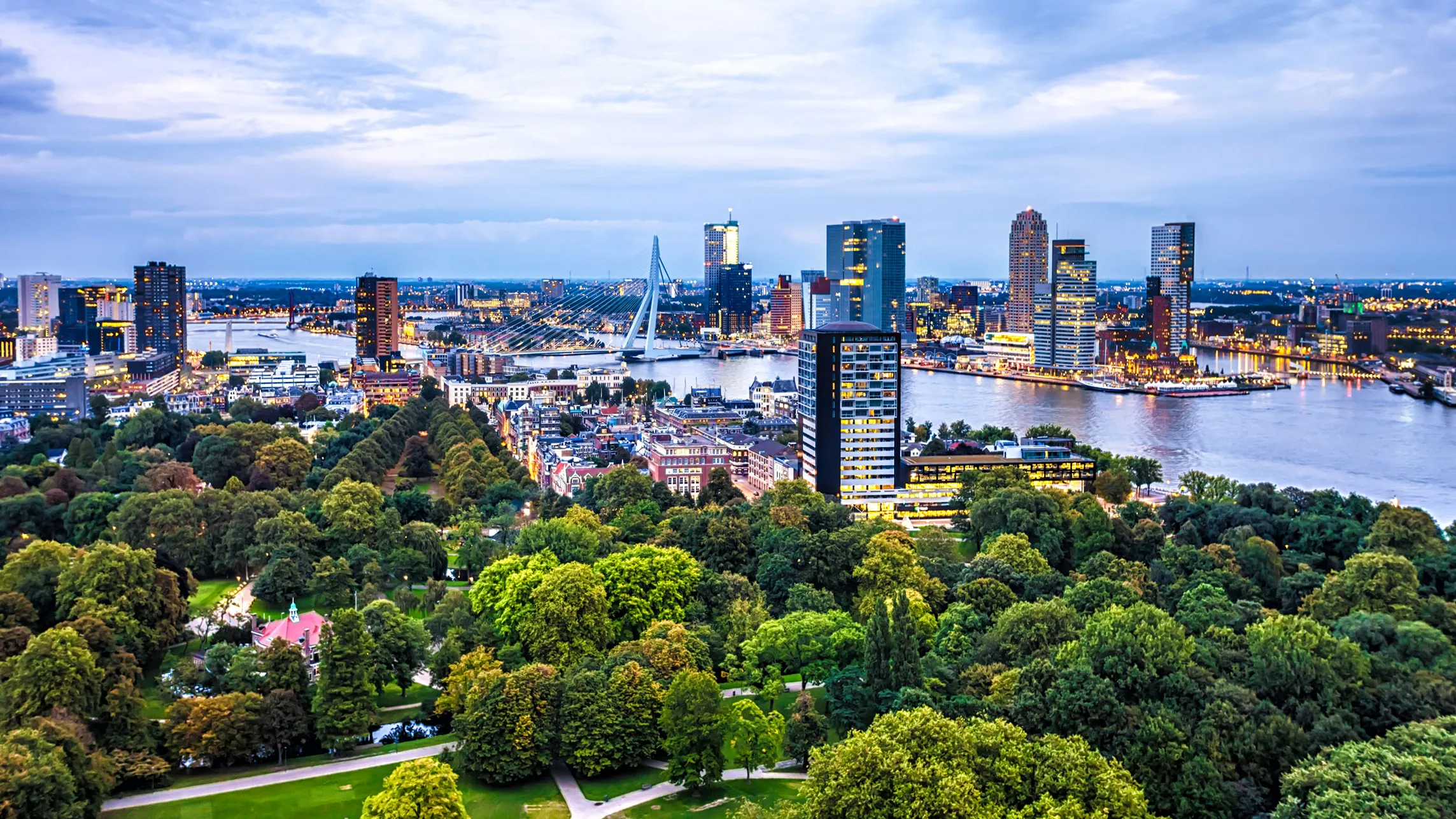 به وقت روتردام/یک تحصیل هلندی